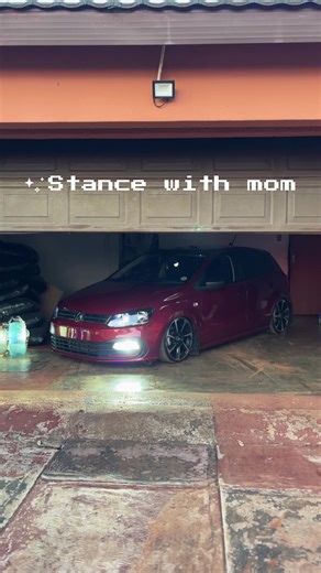 Exploring the Trend of Bagged Cars with Polo Vivo