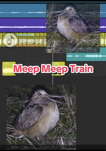 Meep Meep Train Mashup: Fun and Creativity