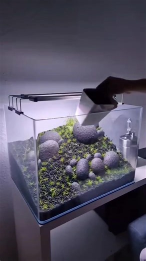 From empty to full — the whole iwagumi aquarium setup in one flow ✨💧