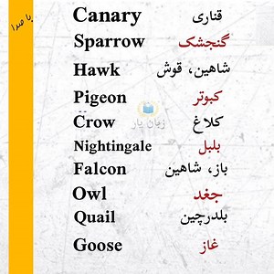 آموزش زبان انگلیسی از مبتدی تا پیشرفته