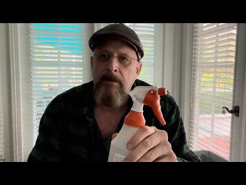 Homemade Flea Spray For Pets That REALLY Works DIY