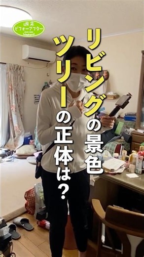 リビングの景色 ツリーの正体は？ #古堅純子 #週末ビフォーアフター #古堅式