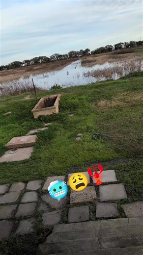 Embrace Summer: Why Winter Isn't For Everyone