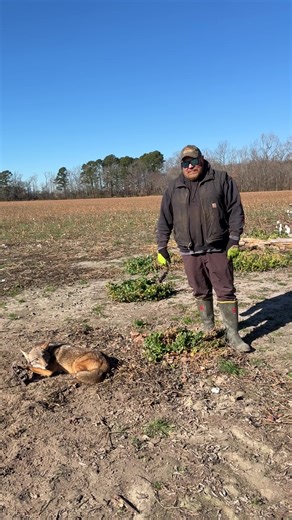 Coyote trapping locations