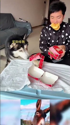 하트 이모티콘#song #cute #viral #love #trending #youtube
