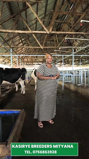 Kasirye Breeders Mityana 2 (@kasiryebreedersmityana2)’s videos with original sound - Kasirye Breeders Mityana 2