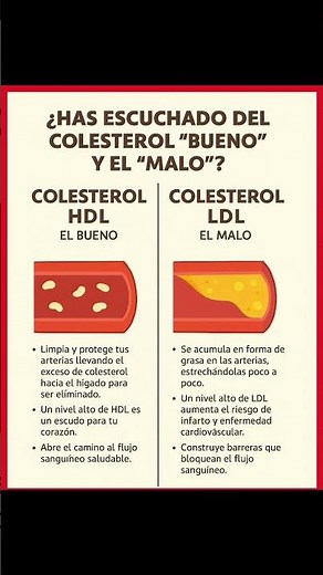 ¿Cuál es la Diferencia entre el COLESTEROL Bueno y Malo realmente?