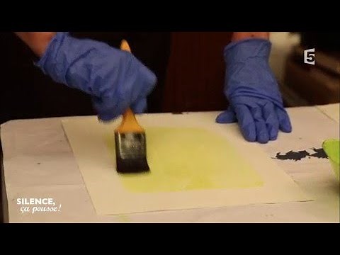 Atelier créatif : le cyanotype - Silence, ça pousse !