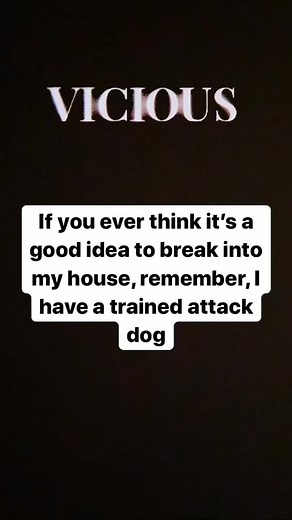 Vicious vicious attack dog. #rottweilersoftiktok #dogvideos #dogsoftiktok #fypシ #roadto1k #rottweiler #doggo #rottie #dogmom