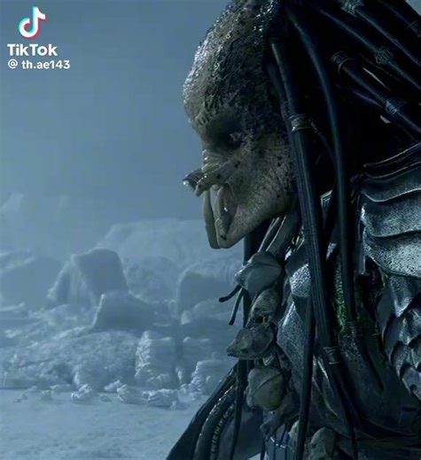 Os vídeos de PREDADOR (@alienvspredador3) com som original - PREDADOR