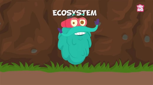 初中生物 七上 生态系统