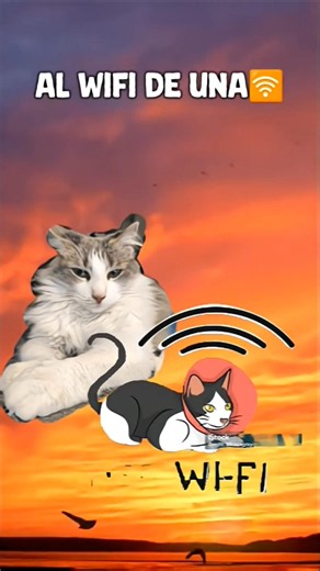 Is this a sign? #cat #iamfromthe7thousand #humor #shorts #shortvideo #memes