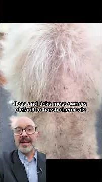 If Your Dog Eats Poop or Grass, Do This Immediately!