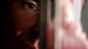 The Amazing Human Body ★ A PBS series About … YOU - with Subtitles and MKV