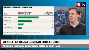 Di:s analytiker: Aktierna som Trump kan köpa – och driva kursen