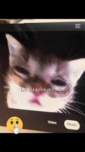 Ahora sí: Comprendiendo el MLM en el Contexto Actual