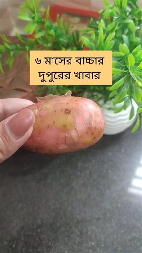 ৬ মাস বাচ্চার দুপুরের খাবার #viralpost2025シ #shortsvideos #short | Fabiha's tiny world