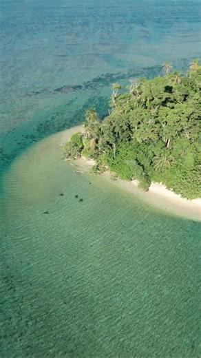 Costa Rica's Caribbean Coast | Tortuguero & Cahuita