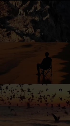 🌅 llegó el día de mis descanso 🙌