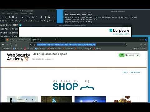 How to hack: MODIFYING SERIALIZED OBJECTS - Burp Suite
