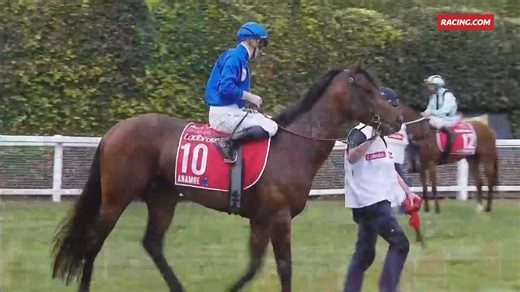 J-Mac relives his first Cox Plate triumph with Anamoe 🔵 J-Mac. The Man, The Champions, The Moments. Live now on Racing.com 📺 | Racing.com