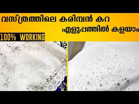 Remove Karimban From Clothes Easily – Tips and Tricks cleaning tips malayalam