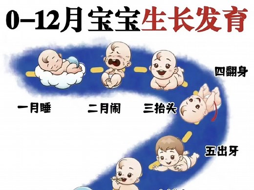 超全新生儿成长发育口诀❗早教计划+护理要点❗新手爸妈可以按月参考哦❗#育儿经验分享 #宝宝生长发育 #育婴知识 #宝宝早教 #新生儿护理 #新手爸妈