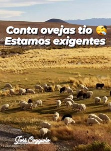 #hastagfbreels #sharethatexplode #mesiguespormascontents #fypシviralシ2024 #fypシ゚viralシ #fypシ゚viralシfypシ゚viralシalシ #fpyシviral #fpyreels #fpyyyyyyyyyyyyyyyyyyyyyyyyyyyyyyyyyy #fypシ seguidores para facebook 2024 seguidores para tu página monetiza rápido Seguidores de Facebook 💵💵💵 @destacar | José Coggiolo