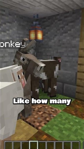 Secrets in my TOTK map
