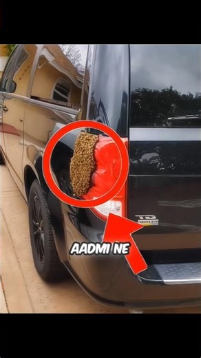 THE DAY BEES BUILT A HOME INSIDE A CAR TAIL LIGHT 🐝🚗