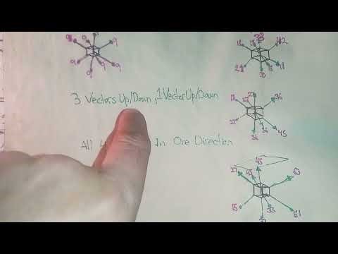 A Further Generalization Of Scalar/Vector Systems Of The Inner Ghost Numbers