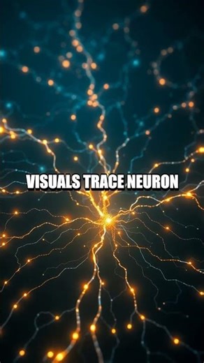 Split-Second Maps Inside the Brain