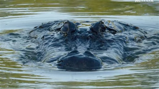 Blumhouse Tries a New Scare Tactic With Netflix Series 'Nightmares of Nature'