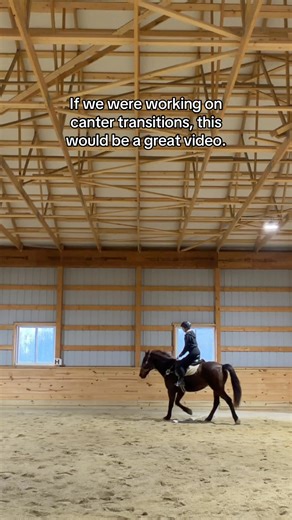 It’s still a great video, but we’re working on trot transitions. George has turned a massive corner with riding. He’s happy and eager and tried so hard. We’re still working on building up his muscles and coordination. #standardbredretraining #standardbred #standardbredpacer | Well Equestrians