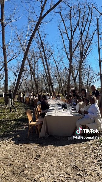 The Long Table Experience: Connect Over a Meal