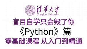 【2025最新版】Python从零基础到精通！从零养成编程思维！从理论到实操的飞跃，三天蜕变，成为 Python 编程达人不是梦 ！