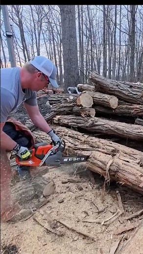 564XP Bore Cutting Locust! #husqvarna #firewood #chainsaw