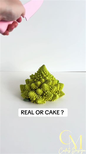 Ultimate Challenge: Real or Cake Game Ratings