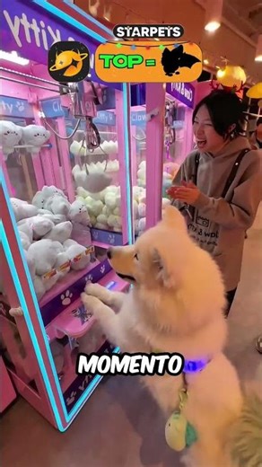 Did a dog pull a toy out of the machine? 🤯