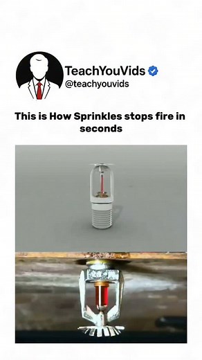 This is how sprinkles stop fire in seconds. 🔥🧯 Tiny beads, big impact — they cut off oxygen, cool the flames, and put out fires almost instantly. Simple science, life-saving results. This video is for educational purposes only. DM for credit/ removal. #FireSafety #ScienceExplained #MindBlowingFacts #EducationalVideo #ChemistryInAction #safetytipsforscooters | Teachyouvids