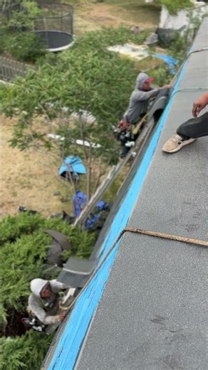 Sliding shingles down a near-vertical roof! 😳 #roofing #construction