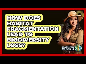 How Does Habitat Fragmentation Lead to Biodiversity Loss?