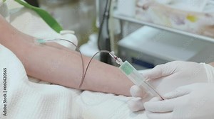 Experienced doctor drawing blood taking blood sample of female calm patient, changing container, filling up vial. Sterile, clean hospital environment