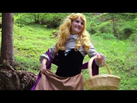 Auroras Forest Friends Sleeping Beauty Disney Princess