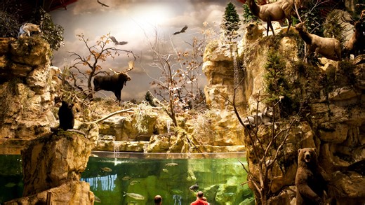 The best sporting goods and outdoors stores in Peoria as voted on by readers