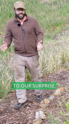 Next critical steps to protect our Food Forest. 🌳