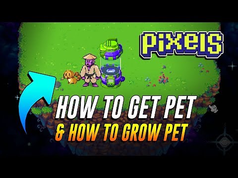 HOW TO GET PET AND HOW TO GROW PET IN PIXELS ONLINE