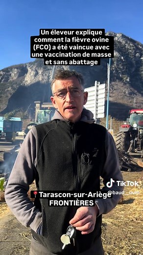 Un éleveur ovin, explique comment la fièvre ovine (FCO) a été vaincue sans abattage, mais avec une vaccination massive