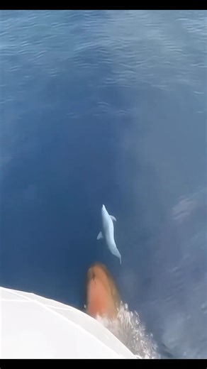 #gk study #shorts #facto #shorts video