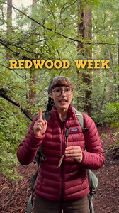 873 reactions · 20 shares | redwood week! tree talks all week baby!!...